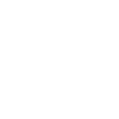 Karine Rhein Gavioli